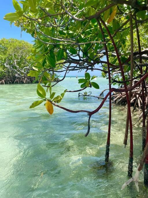 Appartement Les Pieds Dans L'Eau Chez Syl à Le Moule Extérieur photo