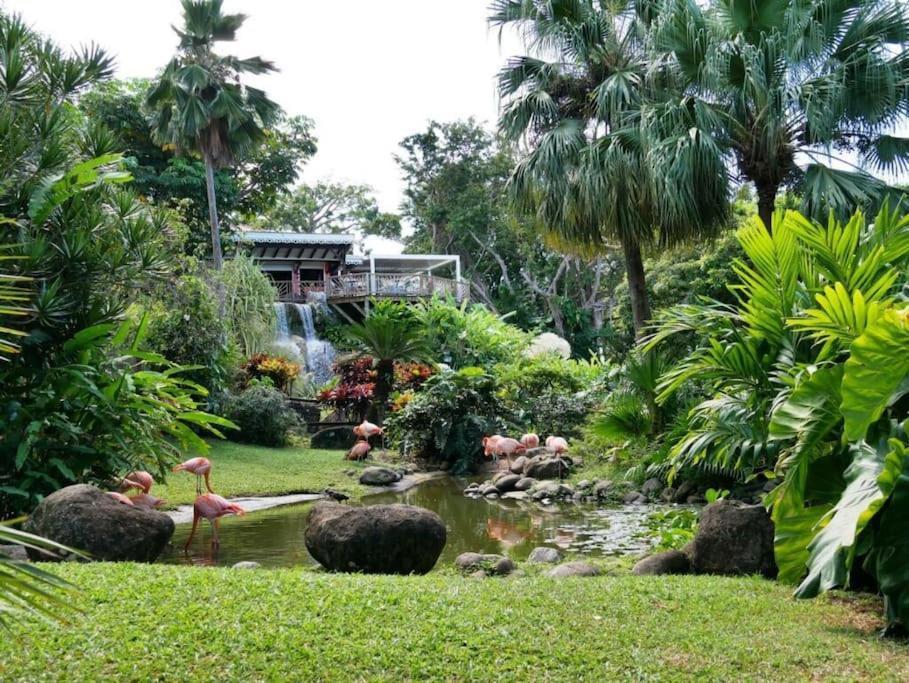 Appartement Les Pieds Dans L'Eau Chez Syl à Le Moule Extérieur photo