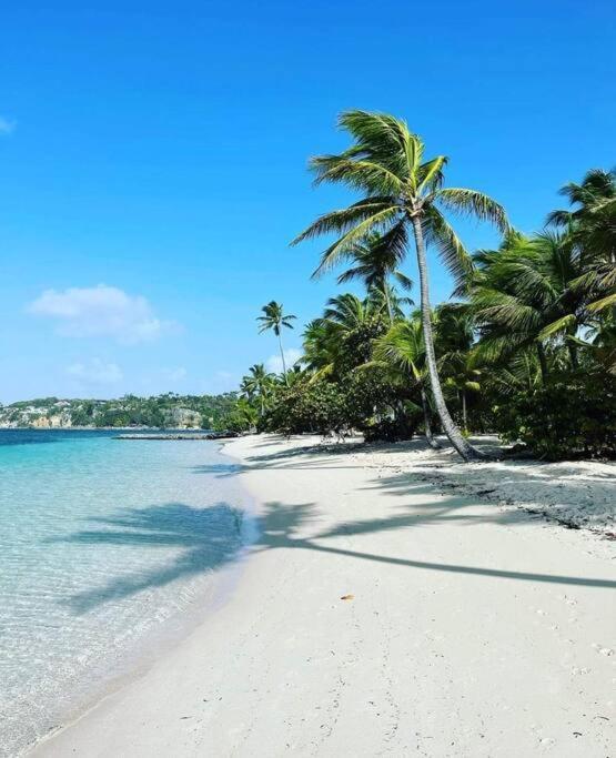 Appartement Les Pieds Dans L'Eau Chez Syl à Le Moule Extérieur photo