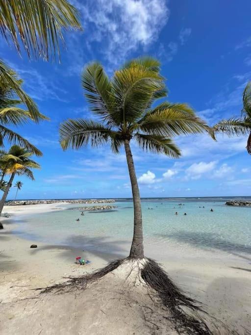 Appartement Les Pieds Dans L'Eau Chez Syl à Le Moule Extérieur photo