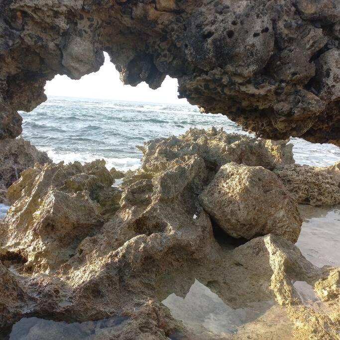 Appartement Les Pieds Dans L'Eau Chez Syl à Le Moule Extérieur photo