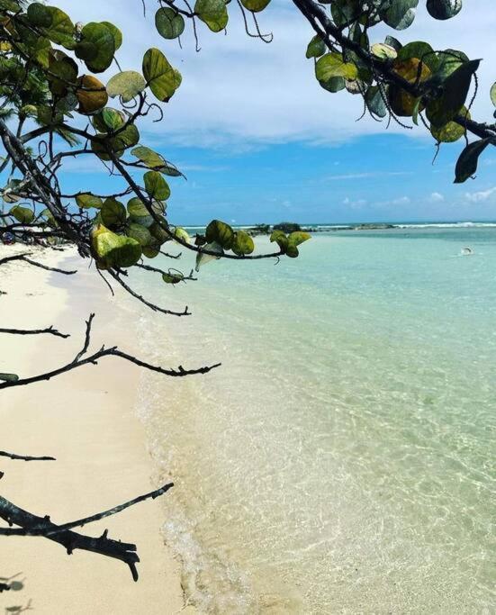 Appartement Les Pieds Dans L'Eau Chez Syl à Le Moule Extérieur photo
